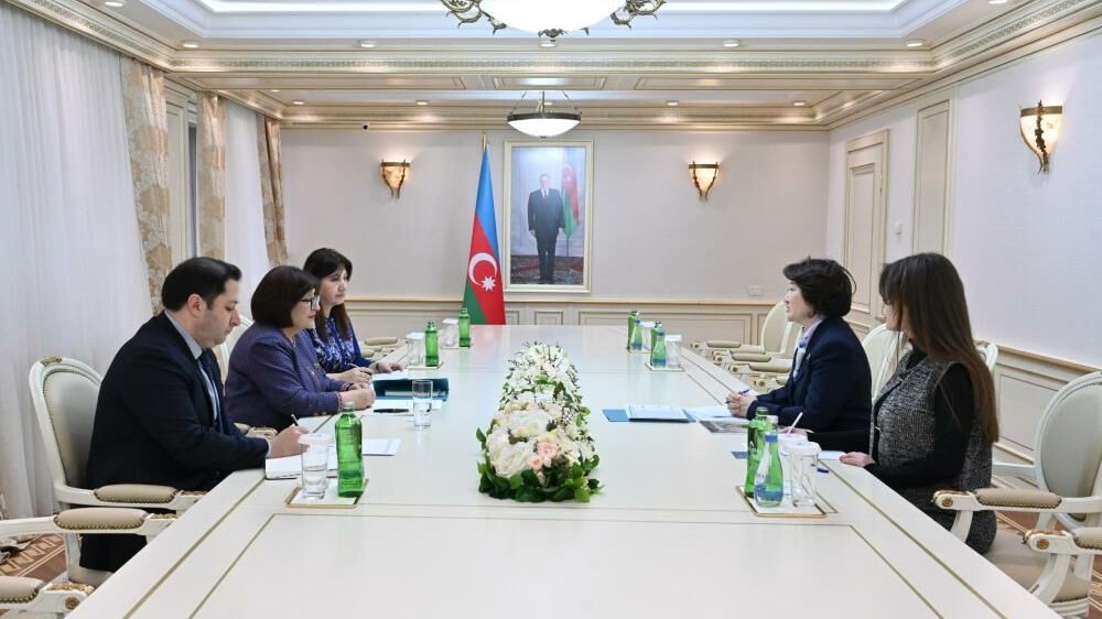 Sahibə Qafarova Türk Mədəniyyəti və İrsi Fondunun prezidenti ilə görüşdü - FOTO