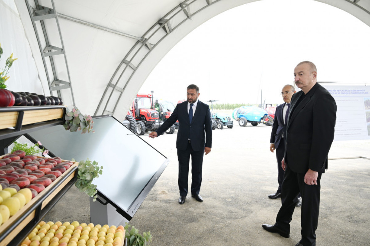 Prezident Yevlax pilot aqroparkının açılışında - YENİLƏNİB