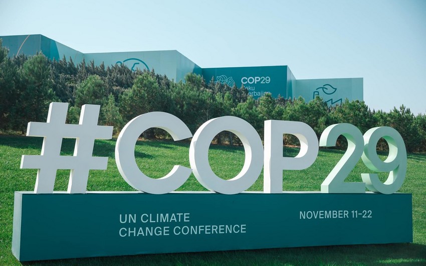 CAR Bakıda keçirilən COP29-un nəticələrini alqışlayır