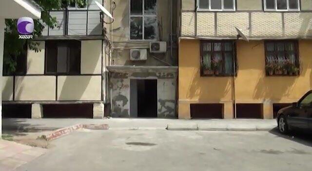 Azərbaycanda təhlükəli canlılar peyda oldu: 60 ailə təhlükədə - VİDEO