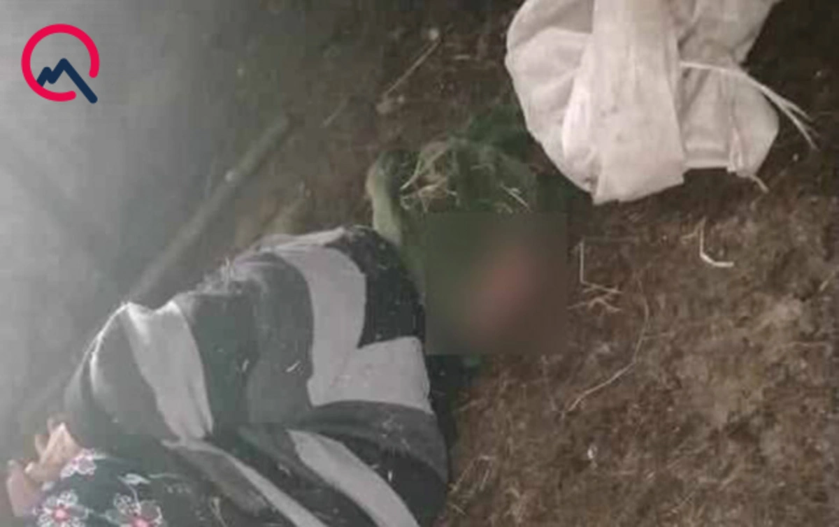 Gədəbəydə tənha qadına evində hücum edib döydülər: Pulları aparılıb