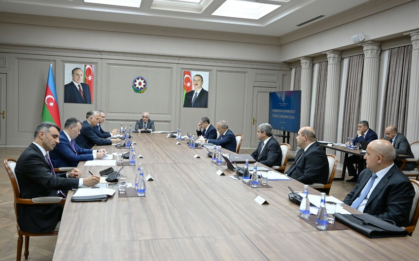 İqtisadi Şuranın növbəti iclası keçirilib - FOTOLAR
