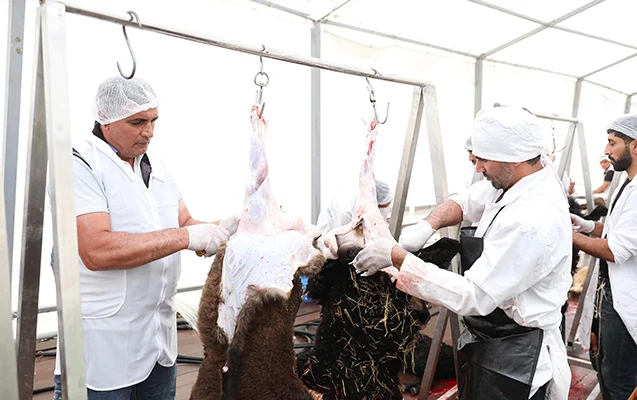 Heyvan kəsimi ilə bağlı xoşagəlməz hal olarsa: Bu nömrəyə zəng edin