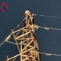 İçkili vəziyyətdə elektrik dirəyinə çıxdı: Qəsəbə işıqsız qaldı