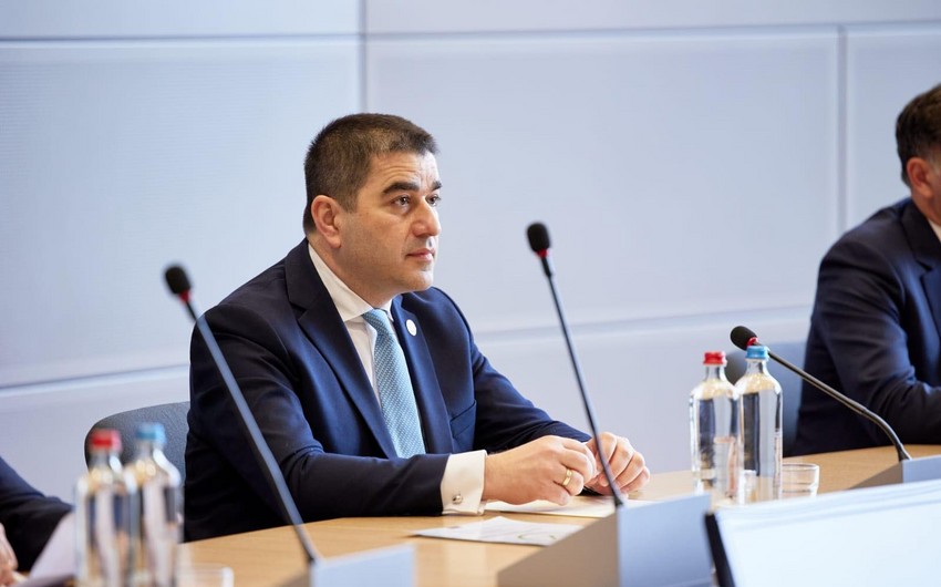 Şalva Papuaşvili: "Saakaşvili əfv edilməyəcək"