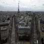 Parisdən jest: Qəzzalılara fəxri vətəndaşlıq veriləcək
