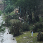 ABŞ-də seldə ölənlərin sayı artdı
