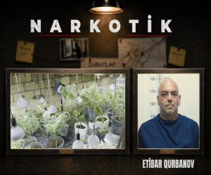 Novxanıda narkobunker aşkarlanıb - VİDEO
