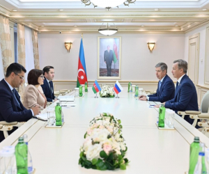 Milli Məclisin sədri Rusiya Federasiya Şurası sədrinin birinci müavini ilə görüşüb