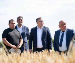 Nazir müavini taxıl biçininii izləyib