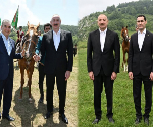“Dostluq” atasına verilmişdi: “Mərd” isə oğulun oldu - FOTOLAR