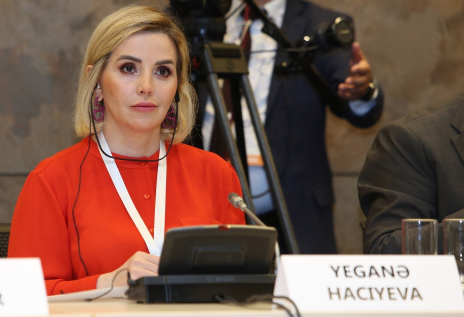 Yeganə Hacıyeva: "Vahid qurum qərarvermə prosesini sürətləndirə bilər"