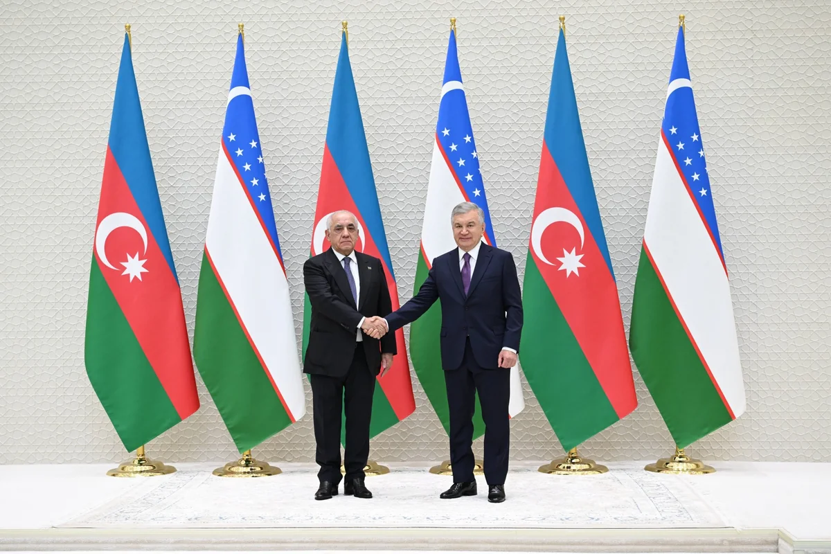 Əli Əsədov Özbəkistan Prezidenti ilə görüşüb - FOTOLAR