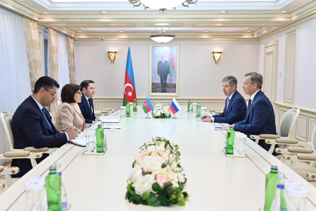 Milli Məclisin sədri Rusiya Federasiya Şurası sədrinin birinci müavini ilə görüşüb