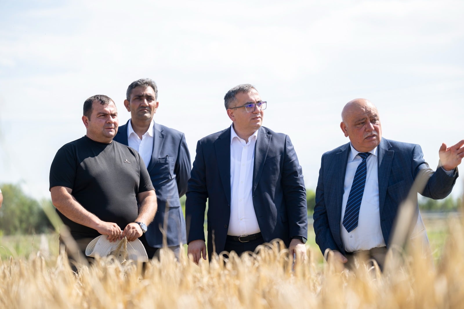 Nazir müavini taxıl biçininii izləyib