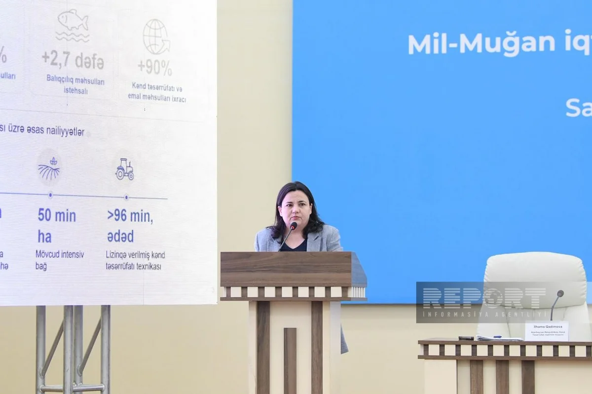 İlhamə Qədimova: "2030-cu ilə qədər qoyun əti istehsalı 9 % artırılacaq"