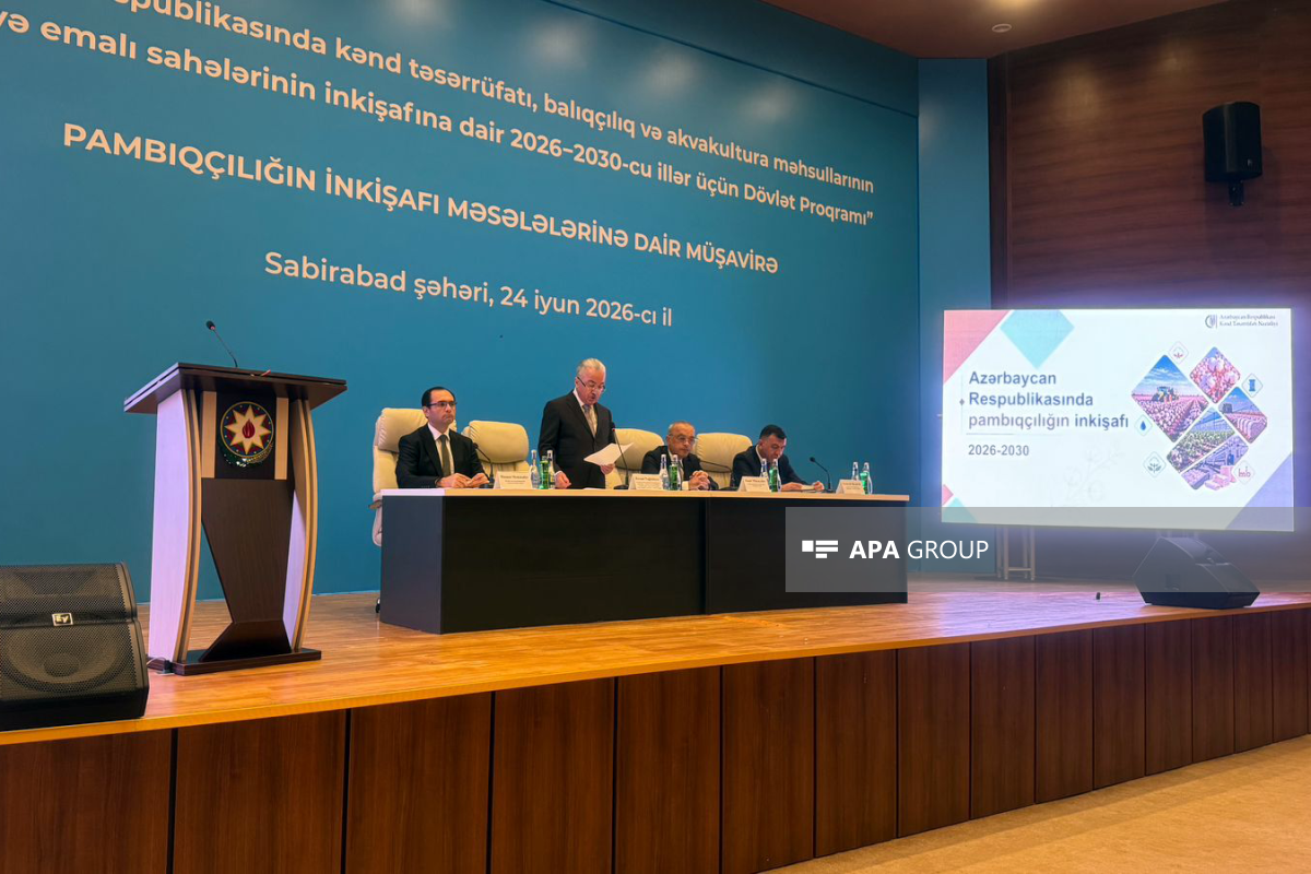 Prezidentin köməkçisi: "Dövlət Proqramı üzrə investisiya qoyuluşunun məbləği..."