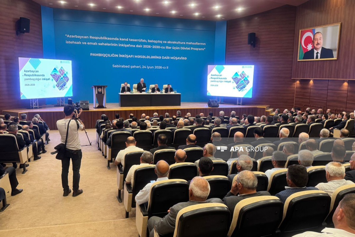 Zeynal Nağdəliyev pambıqçılığın inkişafı üçün nəzərdə tutulan tədbirləri açıqlayıb