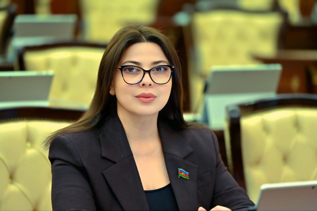 Deputat:  "Avropa İttifaqı ilə münasibət Azərbaycanın strateji əhəmiyyətini yüksəldir"
