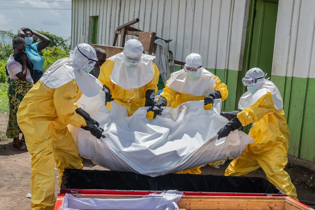 Eboladan ölənlərin sayı 490-ı ötüb