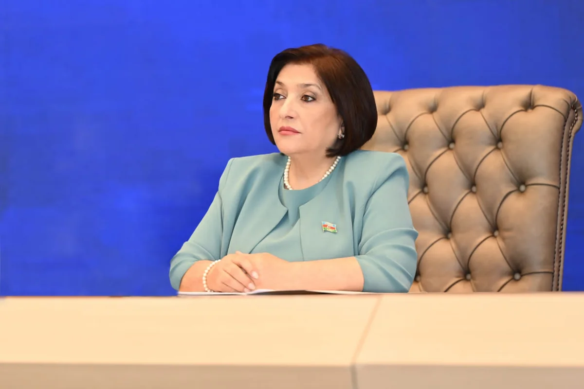 Sahibə Qafarova: "Silahlı münaqişələr zamanı ətraf mühitin qorunması..."