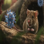 Hantavirus başa çatdı