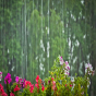 Hava ilə bağlı xəbərdarlıq
